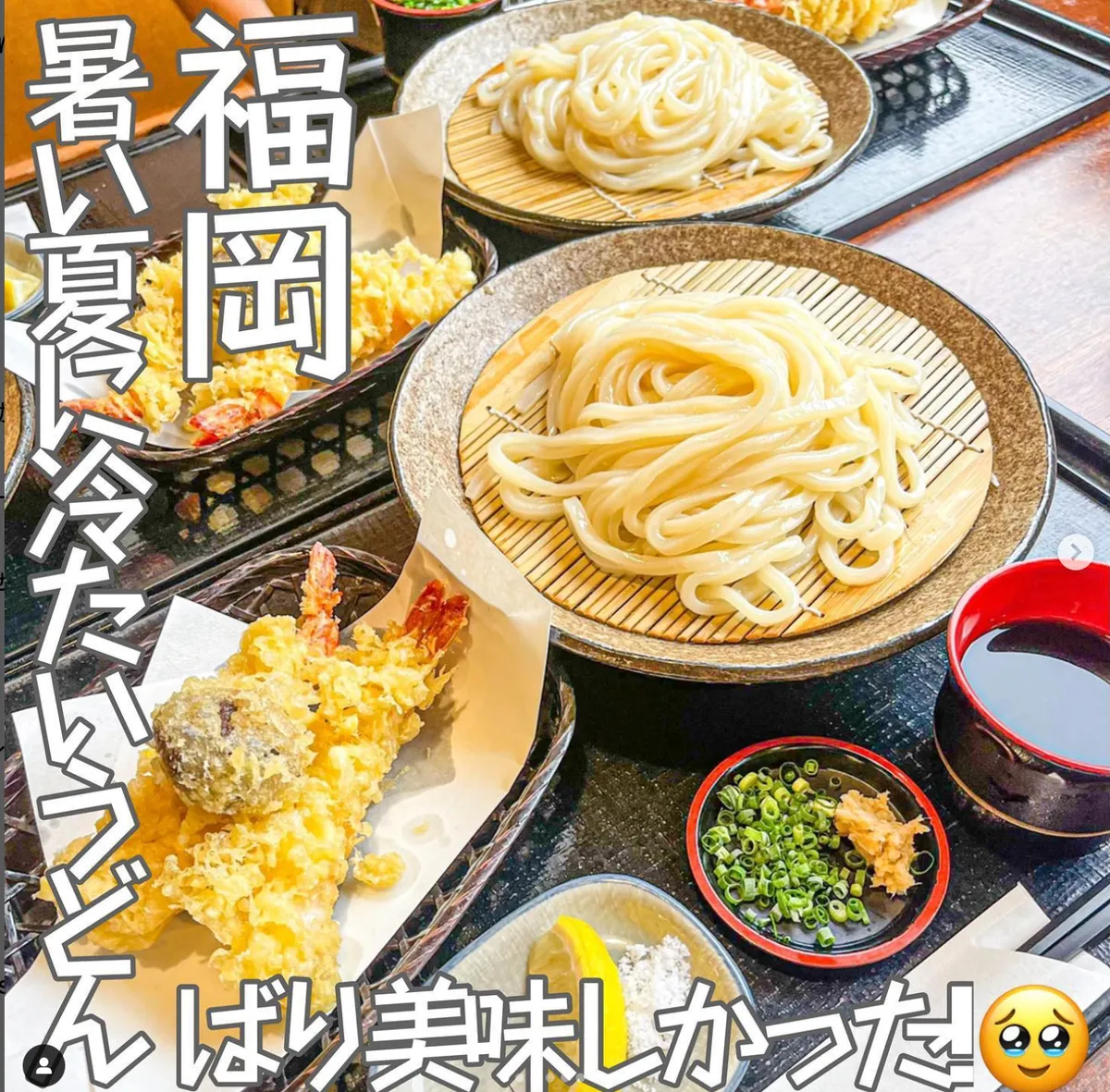 📍福岡県『うどん処 たぬき庵⓿ᴥ⓿』