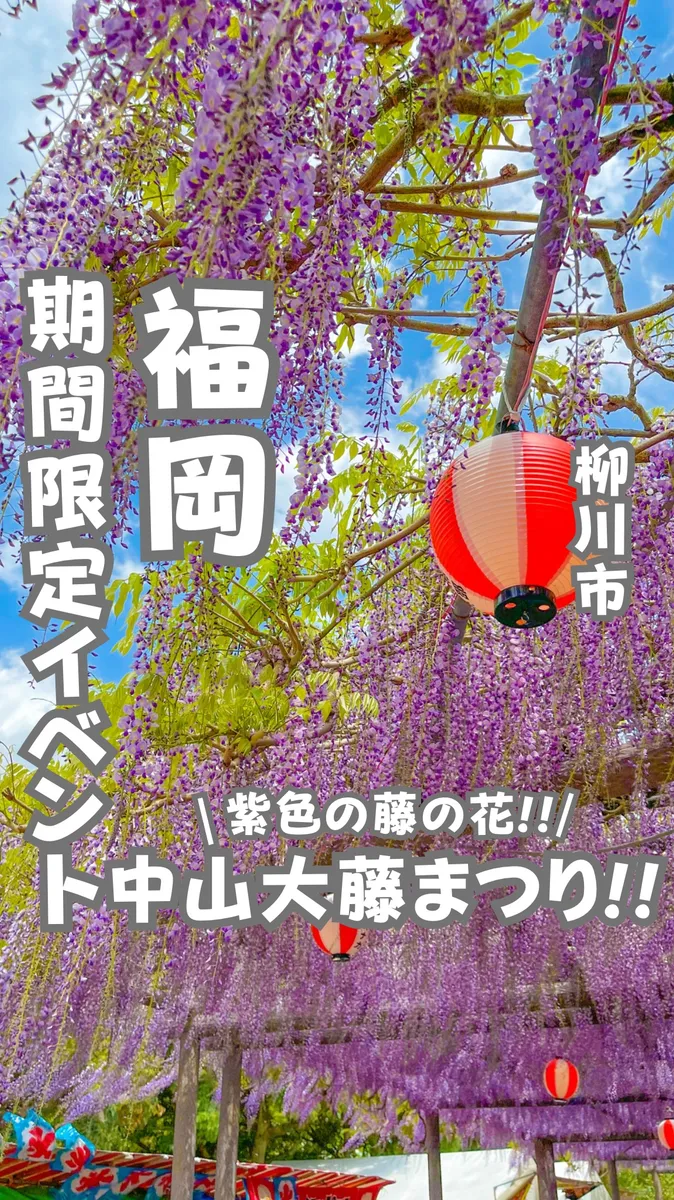 📍福岡県『期間限定‼️中山大藤まつり💜』