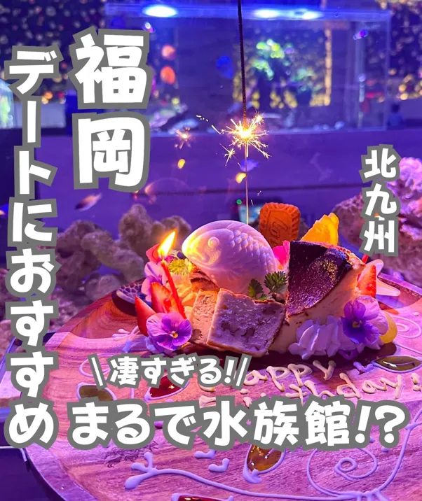 📍福岡県『夜の秘密の水族館⁈デートにおすすめ絶対喜ぶ神スポット🐟』