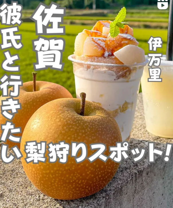 📍佐賀県『彼氏とデートで行きたい!楽しい梨狩り🍐』