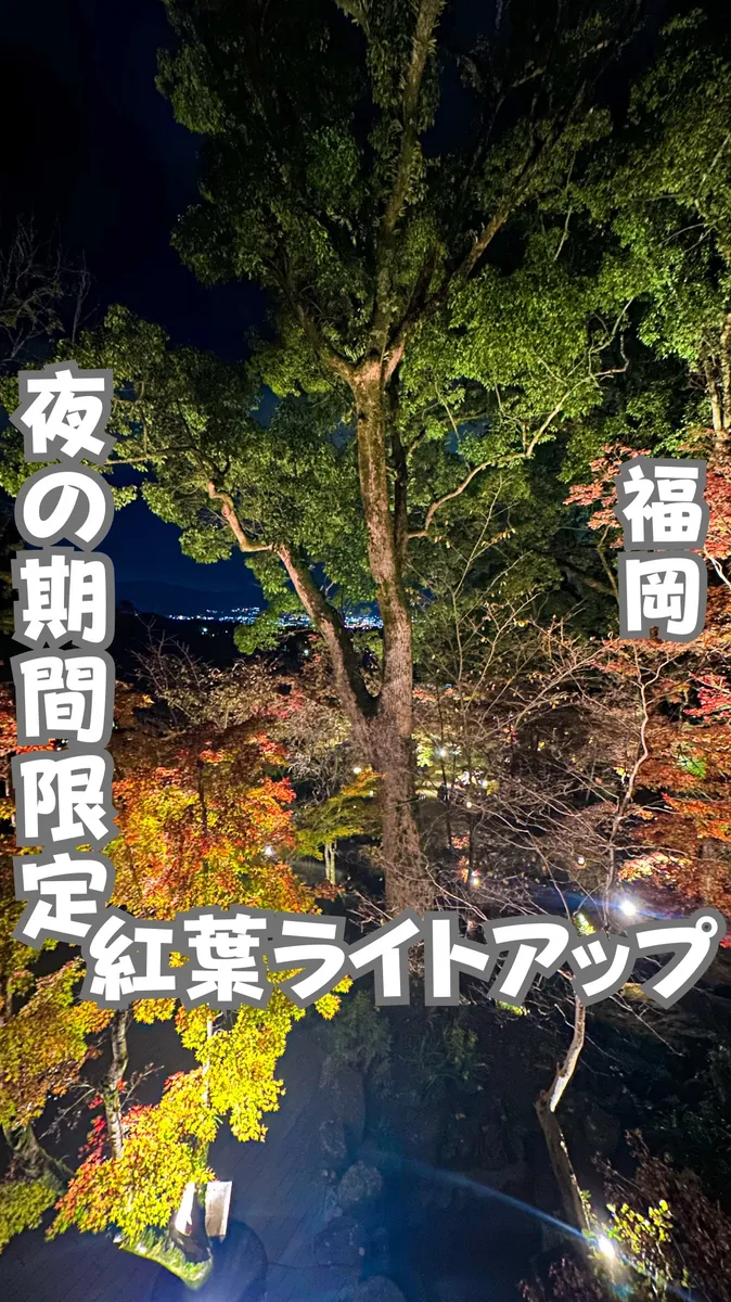 📍福岡県『期間限定紅葉ライトアップ🍁』
