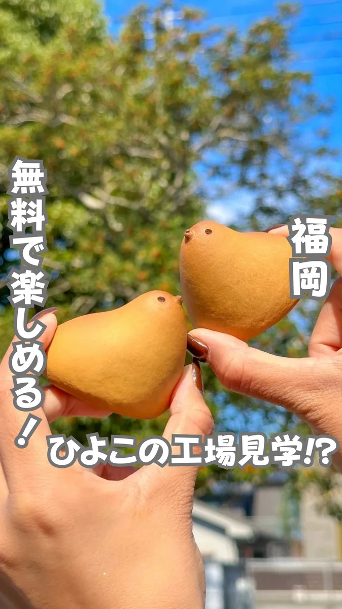 📍福岡県『0円で楽しめる!!福岡の面白体験スポット🔥😍』