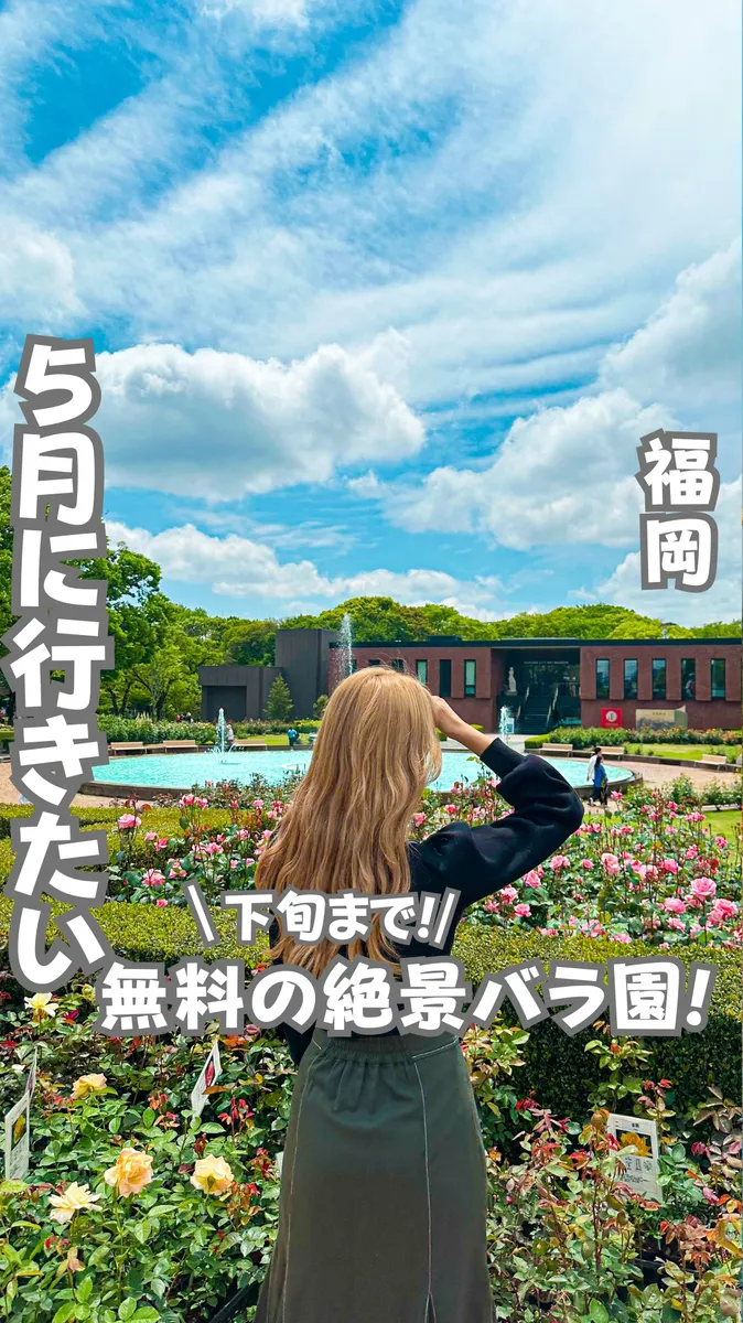 📍福岡県『無料で楽しめる2600株の福岡のバラ園🌹』